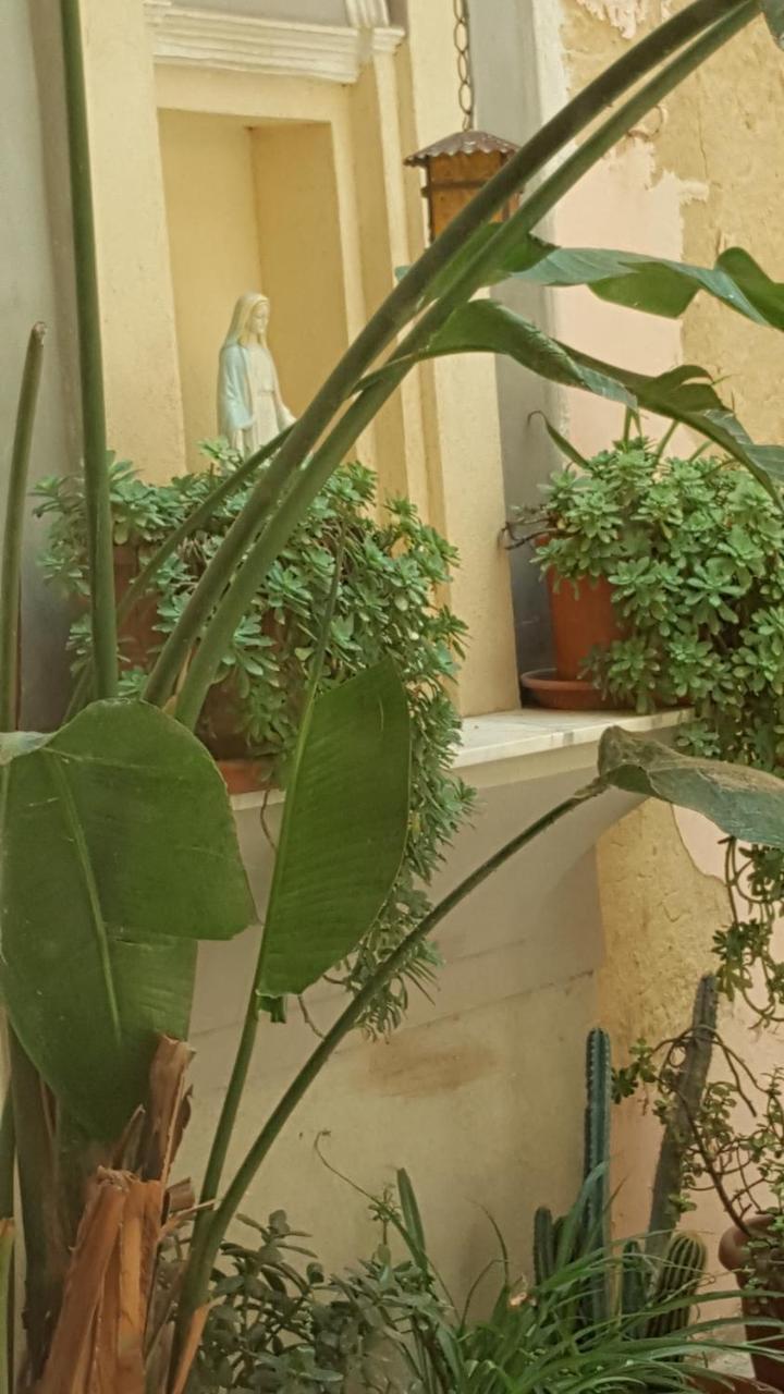 Casa Turismo "Madonna Del Paradiso" Мадзара дел Вало Екстериор снимка